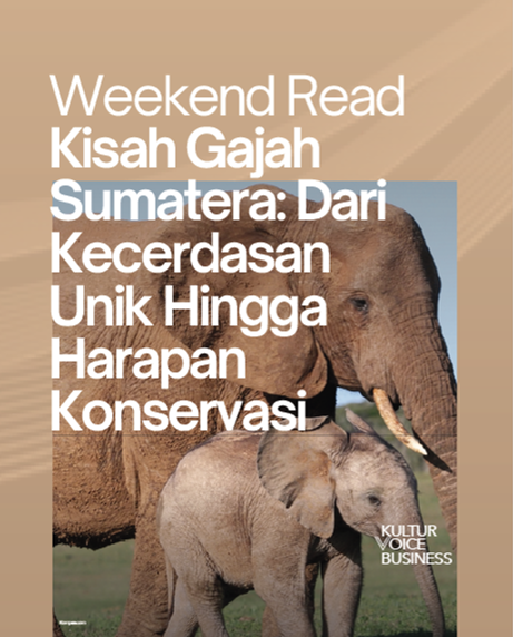 The Story of Smart Sumatera Elephant