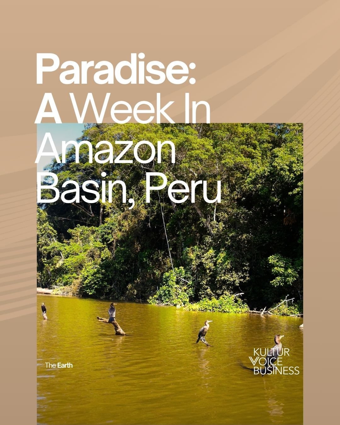 Exploring Amazon Basin, Peru in one week