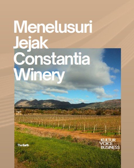 Exploring Cape Town in South Afrika to Find Winery